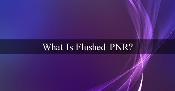 What Is Flushed PNR